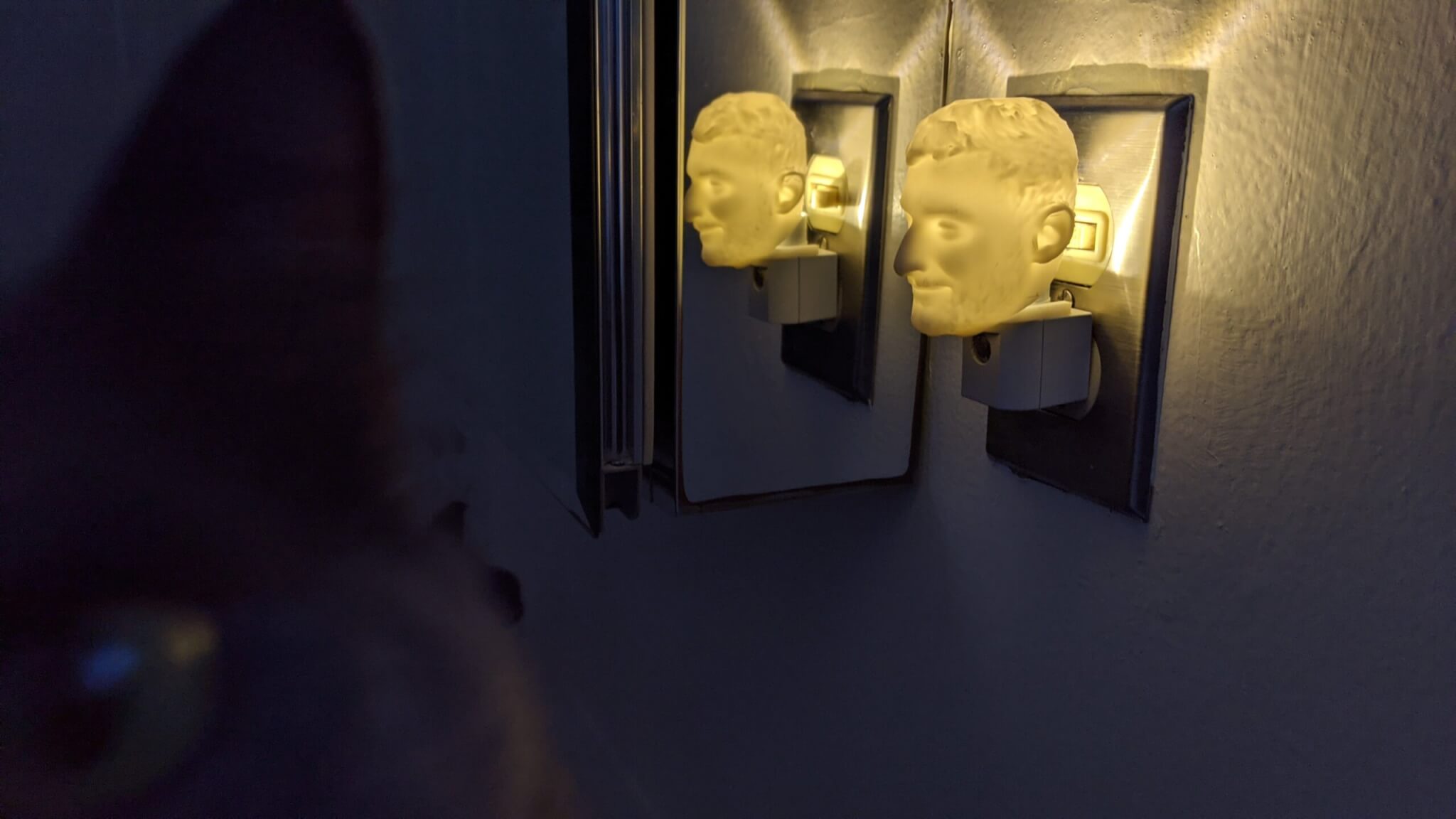 PXL_20201105_230852850