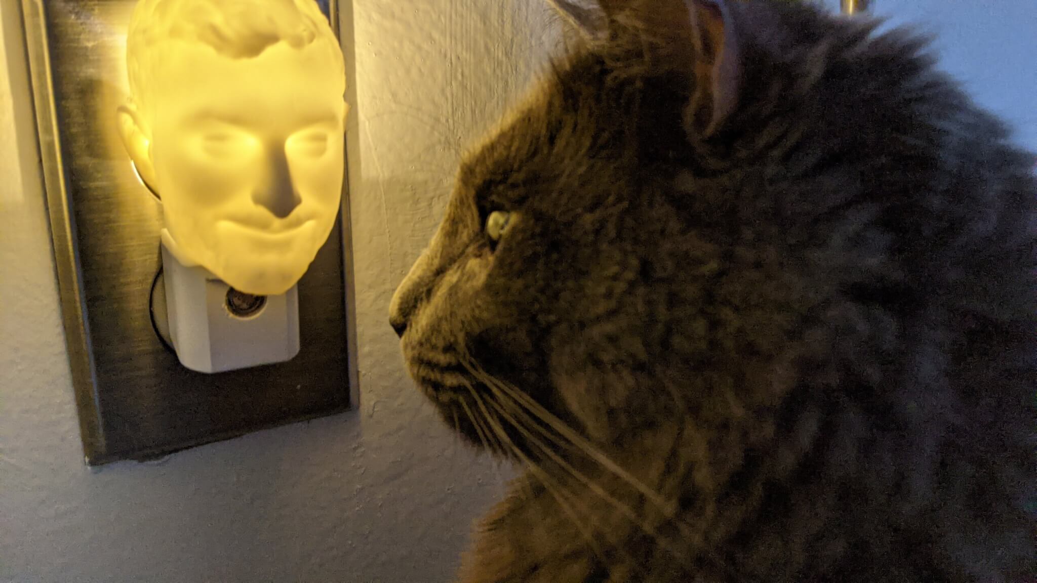 PXL_20201105_230932388