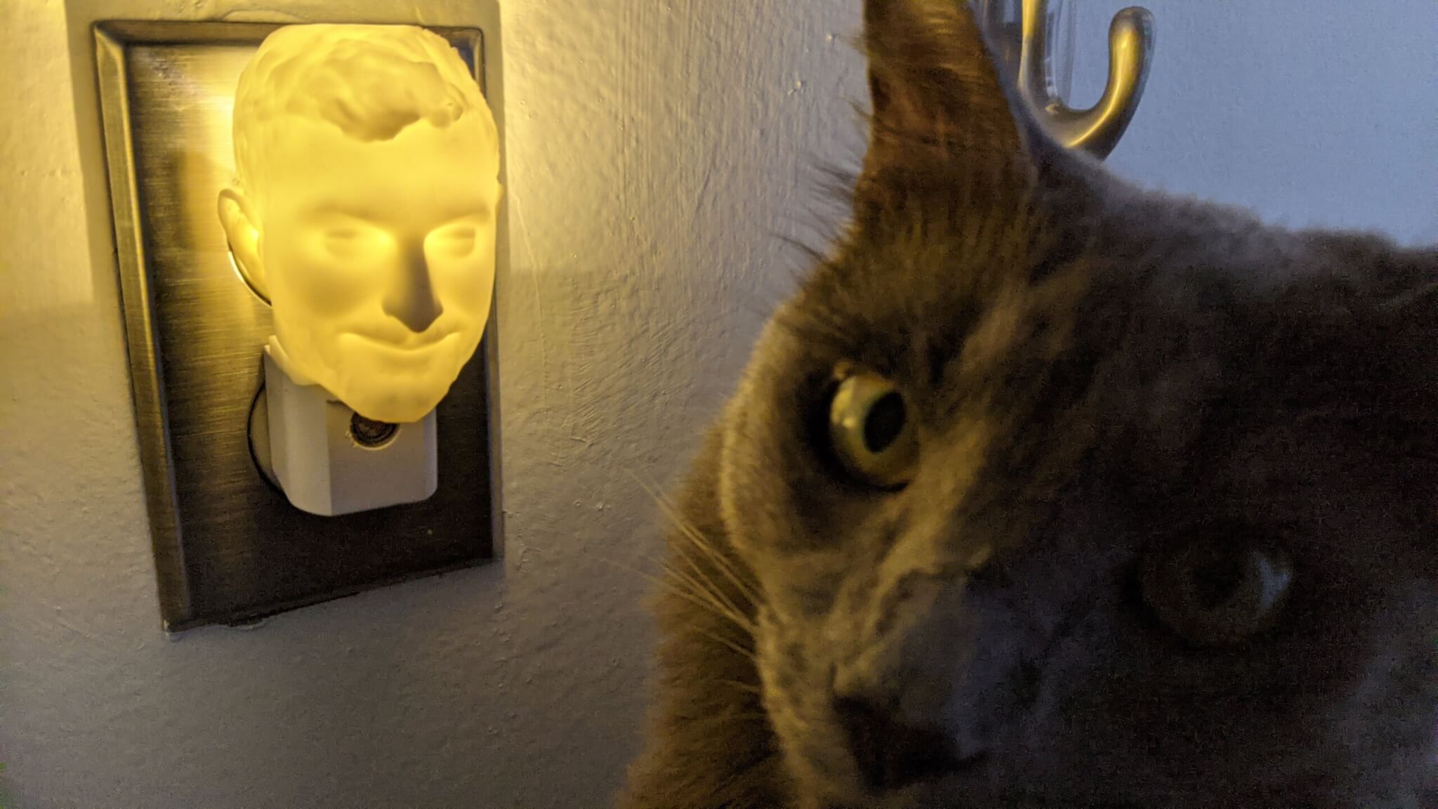 PXL_20201105_230937842