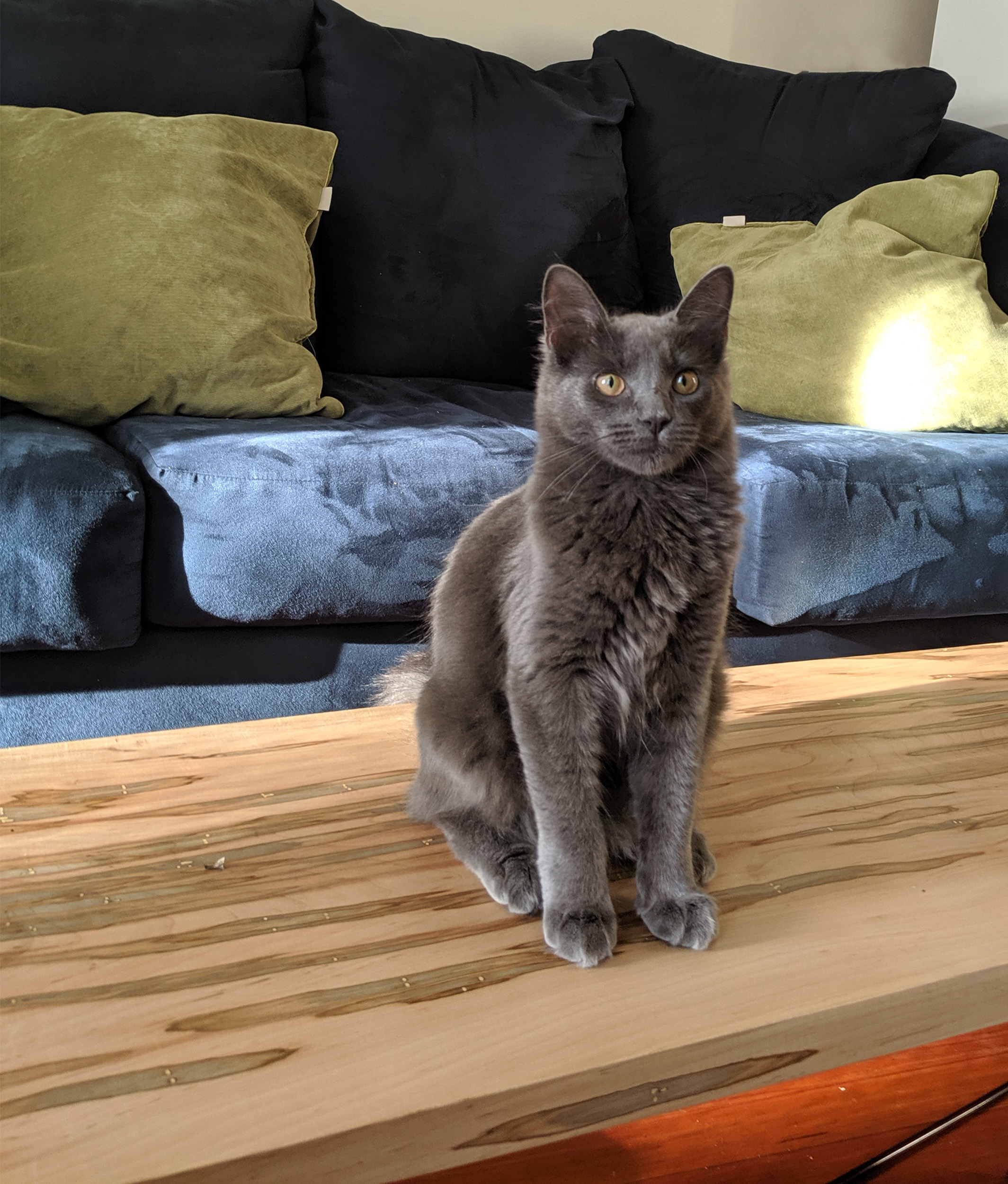 enzo table 2 cropped